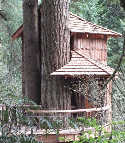 ¿Cómo construir una casa en el árbol?