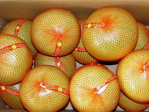 ¿Qué es pomelo?