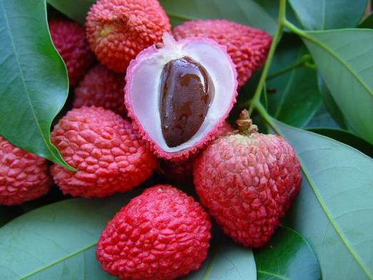 ¿Cómo está el litchi?