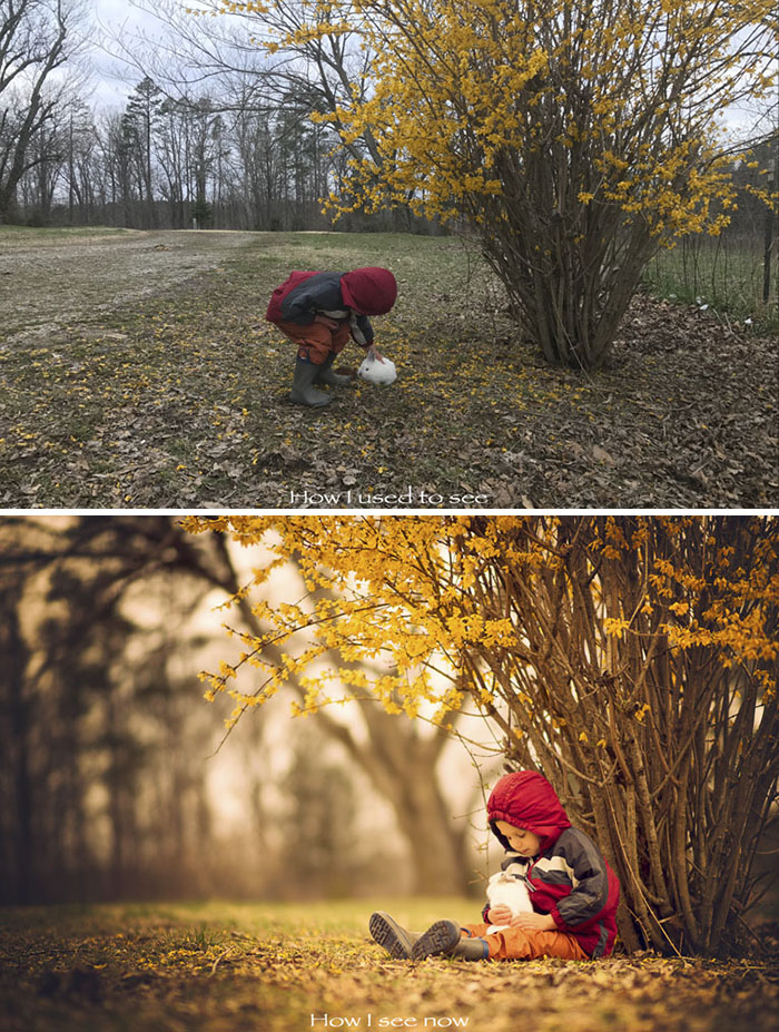 Comparando la medida en que el fotógrafo aficionado y el profesional ven la escena de diferentes maneras