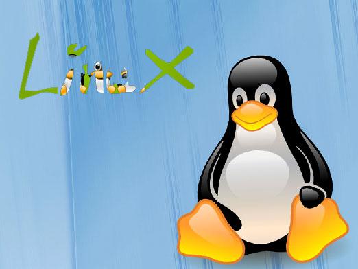 ¿Qué Linux elegir?