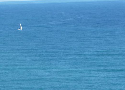 ¿Por qué soñar con un mar limpio?