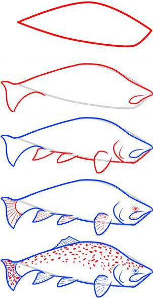 Cómo dibujar un pez?