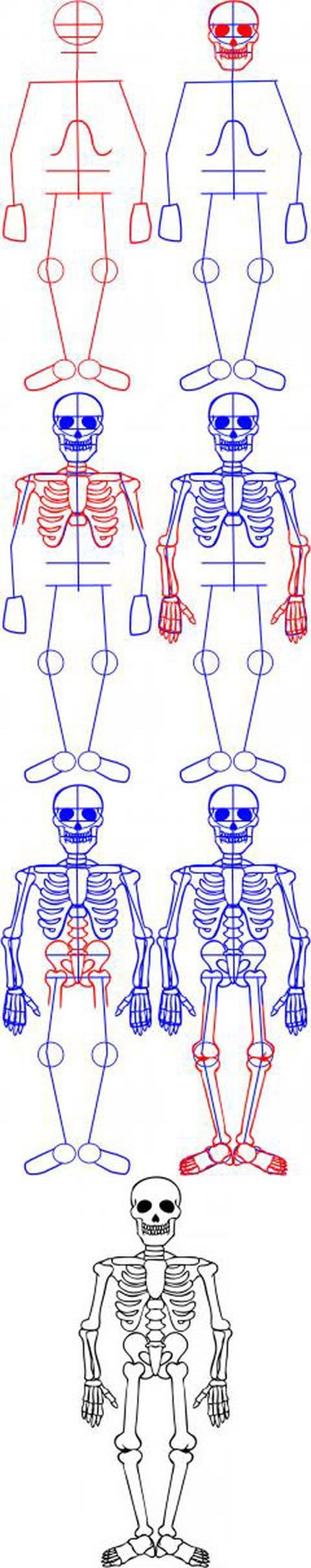 Cómo dibujar un esqueleto?