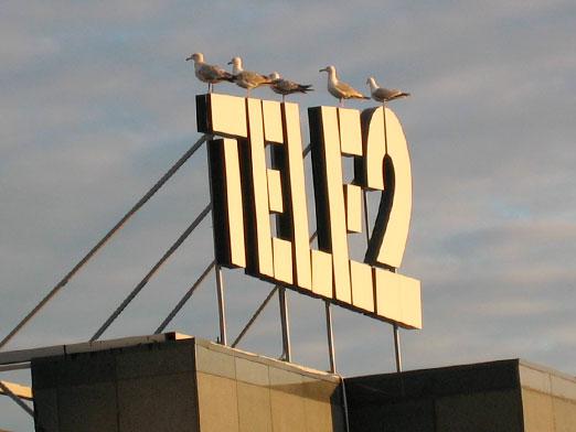 ¿Cómo averiguar la tarifa de Tele2?