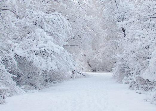 ¿Qué es nieve?