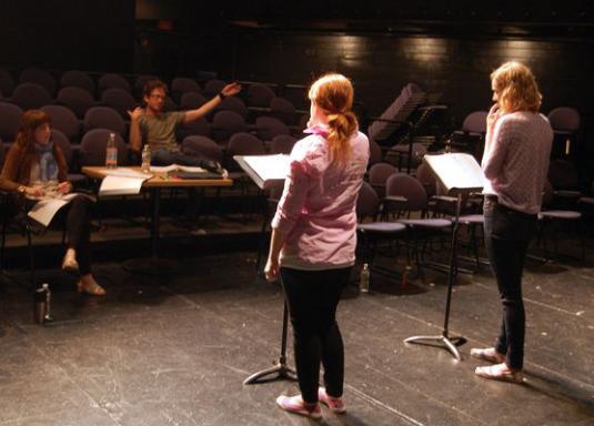 ¿Cómo ingresar a una escuela de teatro, universidad o universidad?