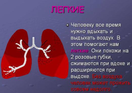 ¿Por qué necesitamos pulmones?