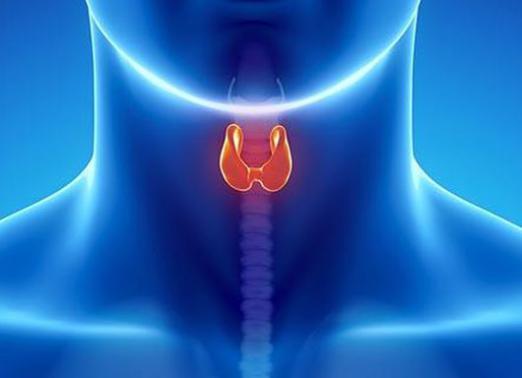 Cómo curar la glándula tiroides?
