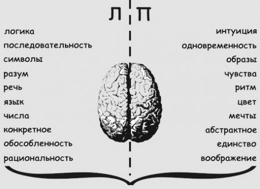 ¿De qué es responsable el hemisferio derecho?