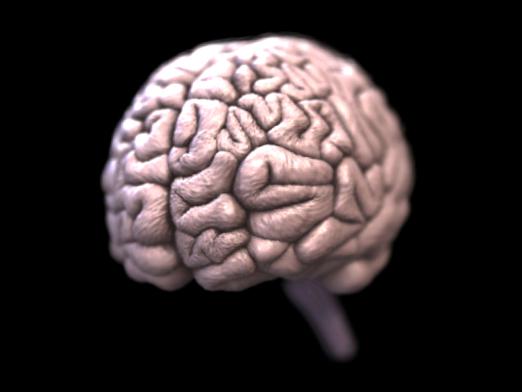 ¿De qué son responsables los hemisferios del cerebro?